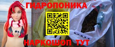 стафф Новозыбков