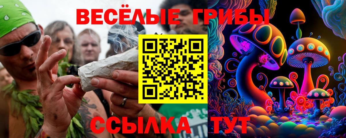 Отрадный  Галлюциногенные грибы Psilocybe  Вход с VPN 